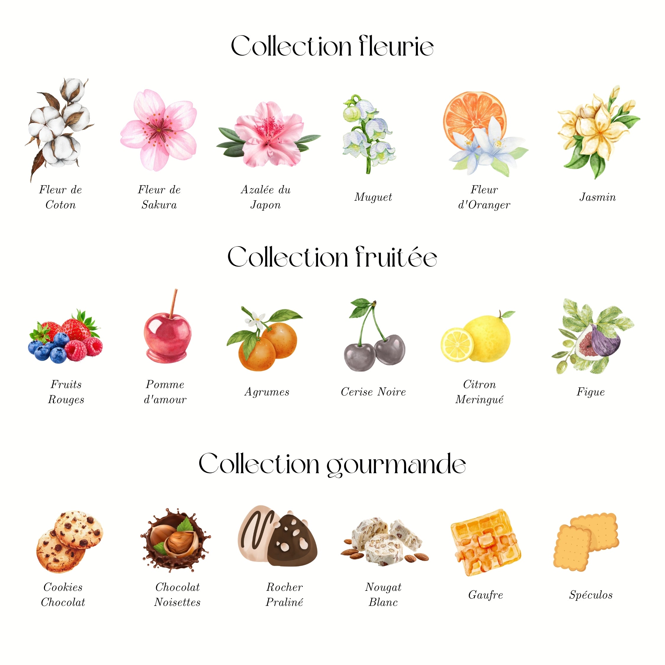 Collections de parfums Atelier 430 avec senteurs florales fruitées gourmandes et exotiques
