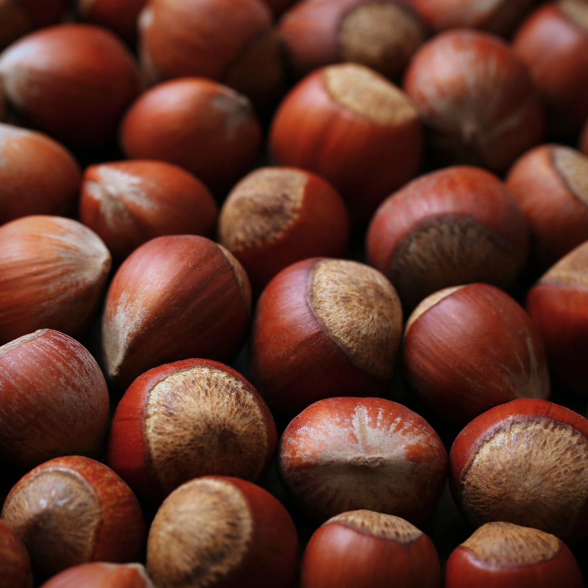 Noisette Gourmande